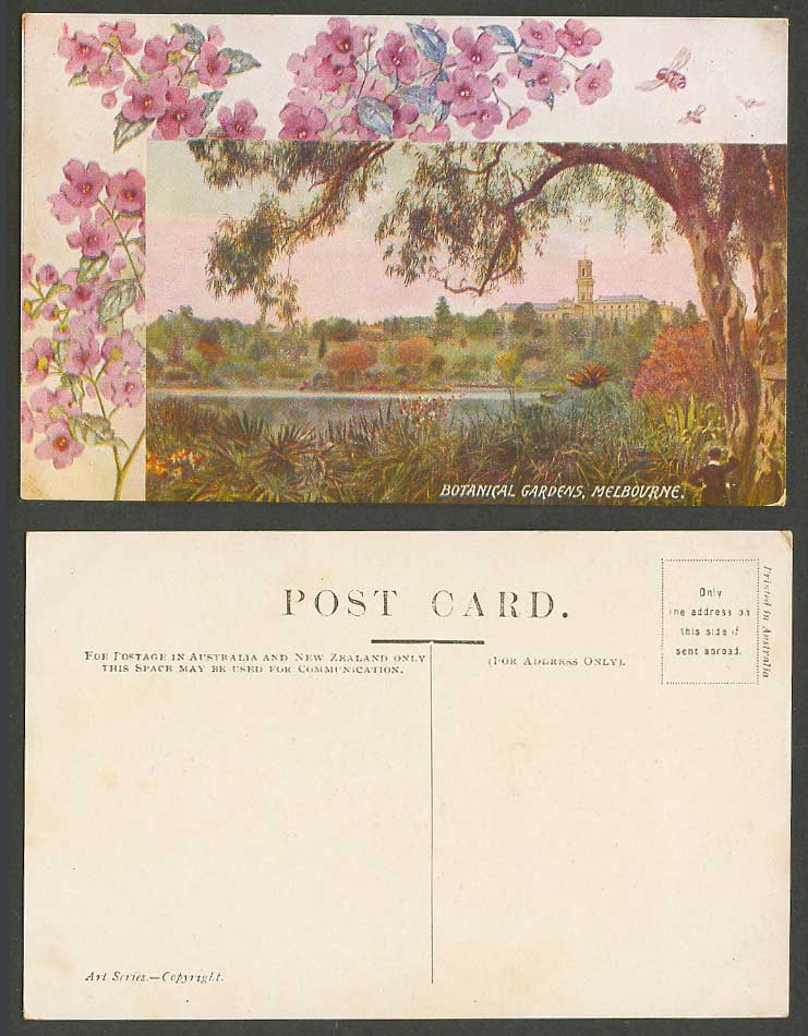Australia Old Postcard Botanical Gardens, Melbourne Victoria, Flowers, Bees Lake
