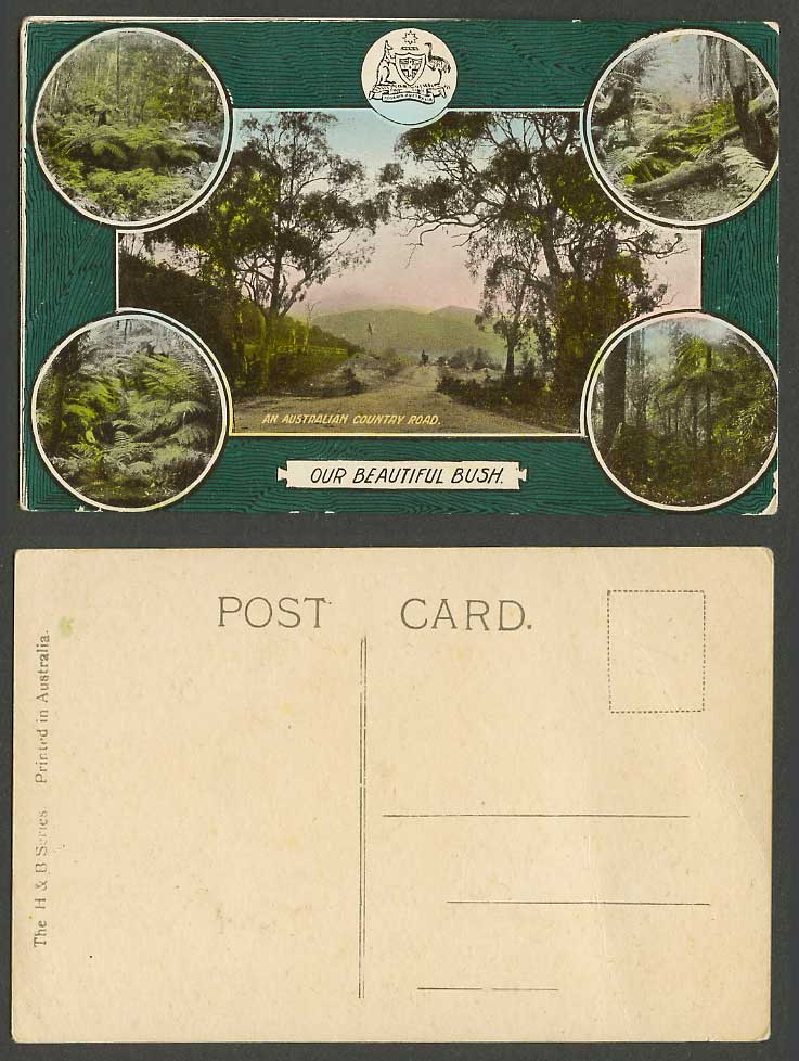 Australia Old Postcard An Australian Country Road, Our Beautiful Bush Fern Ferns