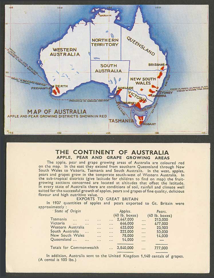 MAP of Australia Apple Pear Districts 1937 Old Card Tasmania Darwin Perth Sydney