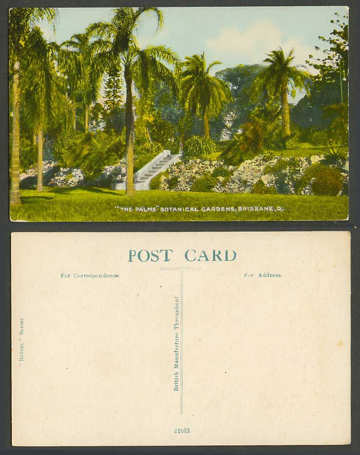 Australia Old Colour Postcard The Palms Botanical Gardens Brisbane Q. Queensland