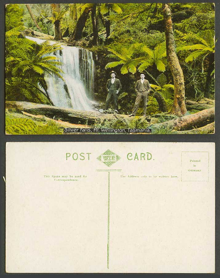 Australia Tasmania Silver Falls Mt. Wellington Fern Trees Ferns Men Old Postcard