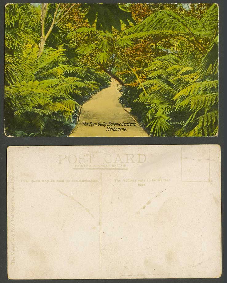 Australia Old Postcard The Fern Gully, Botanical Gardens, Melbourne, Ferns Trees