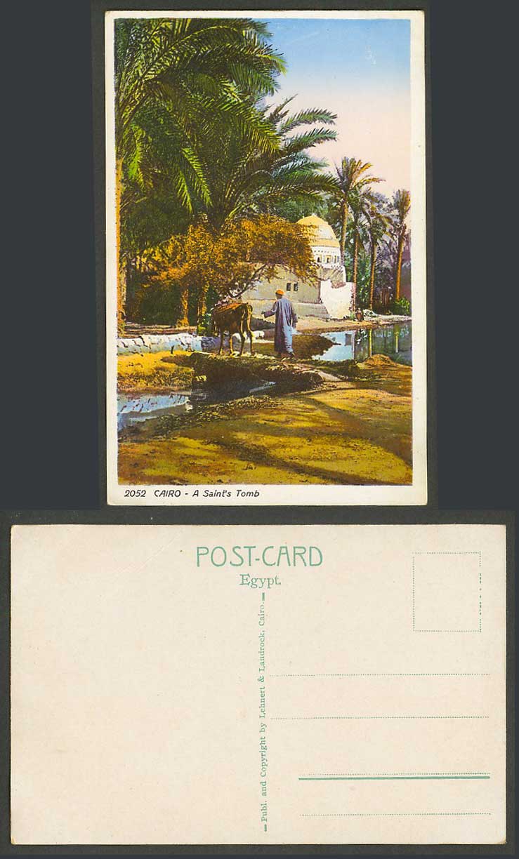 Egypt Old Colour Postcard Cairo A Saint's Tomb Man Animal Crossing a Bridge 2052