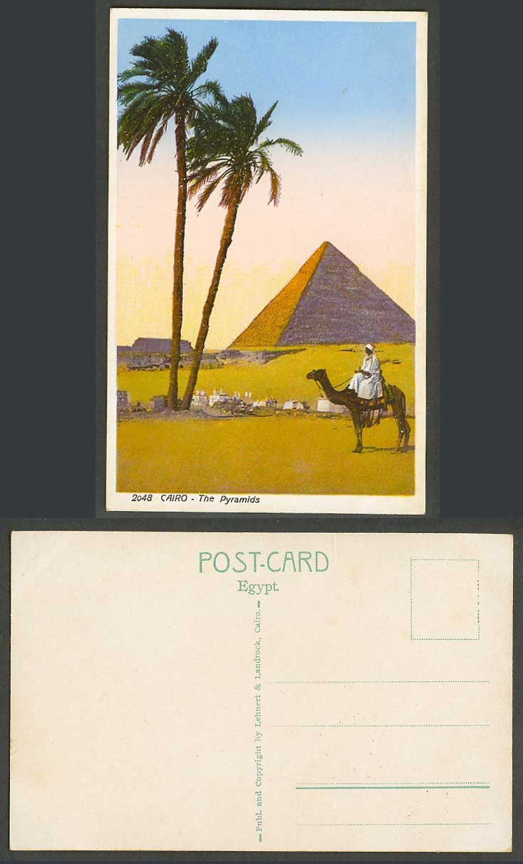 Egypt Old Colour Postcard Cairo The Pyramids Camel Rider Palm Tree Le Caire 2048