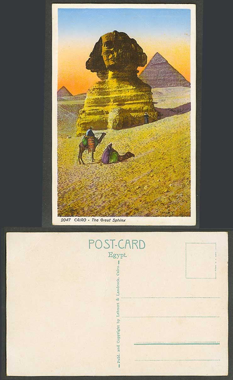 Egypt Old Colour Postcard Cairo Great Sphinx & Pyramids Camels Camel Desert 2047