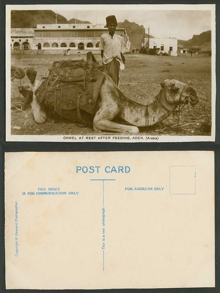 Aden Old Real Photo Postcard Camel at Rest After Feeding (Arabia) Boy, M. Howard