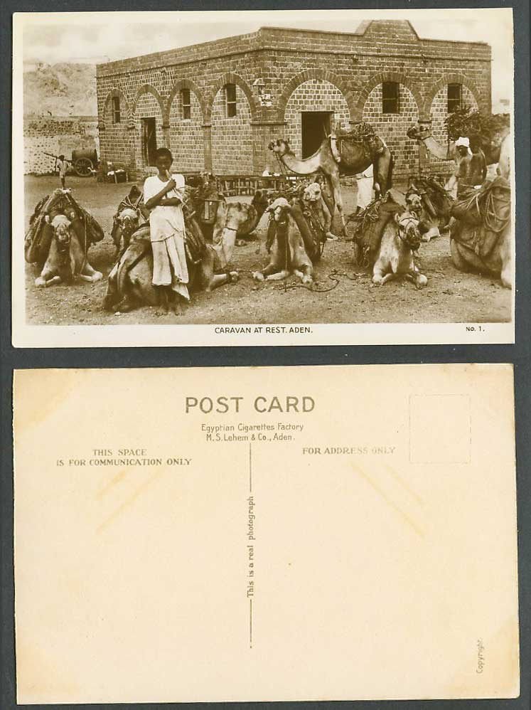 Aden Old Real Photo Postcard Camels, Camel Caravan at Rest, Young Boy Water Cart