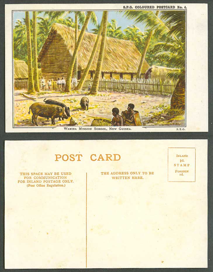 New Guinea Wamira Mission School, S.P.G. Boar Boars Pig Pigs Old Colour Postcard