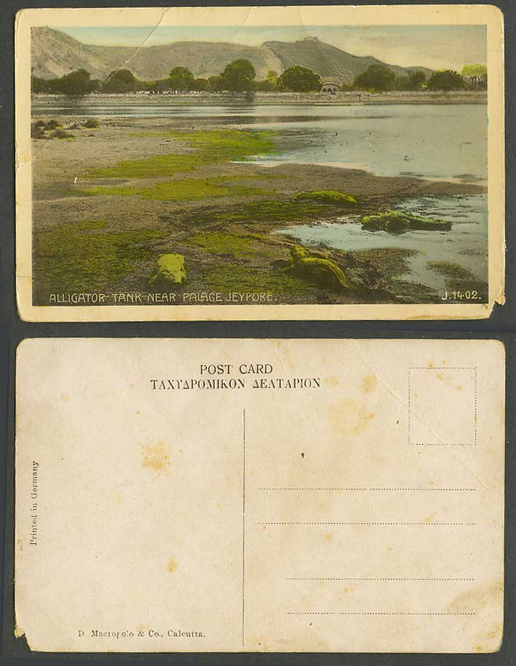 India Old Colour Postcard Alligator Tank near Palace, Jeypore Jaipur, Crocodiles