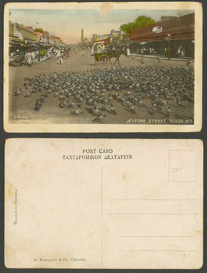 India Old Colour Postcard Jeypore, Pigeons Birds, Street Scene Horse Cart JAIPUR