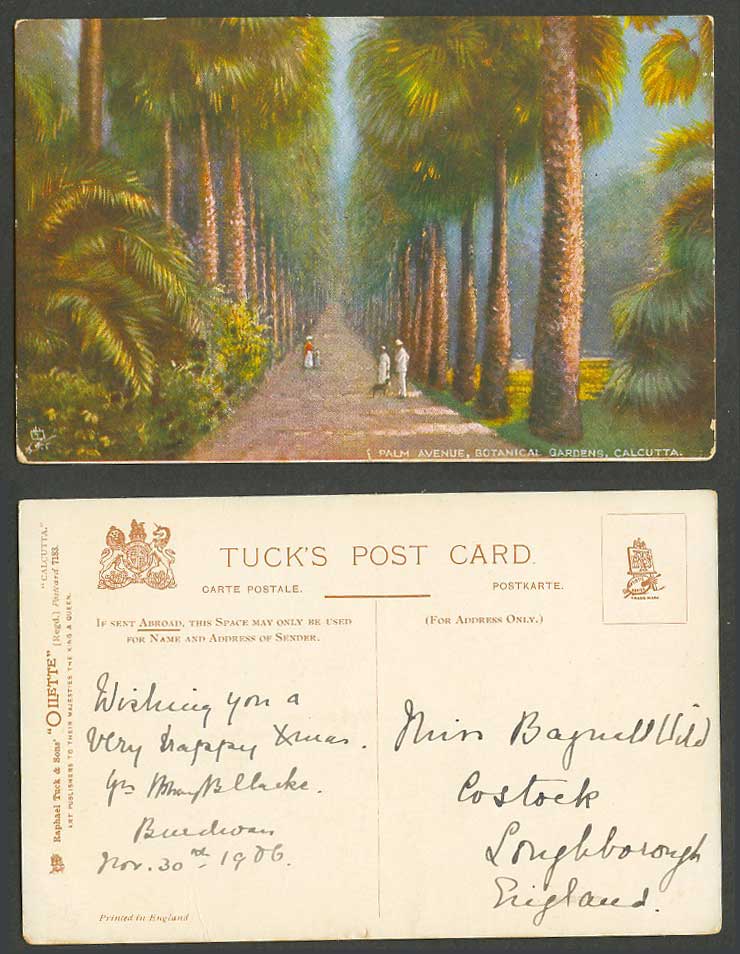 India 1906 Old Tuck Oilette Postcard Palm Avenue Botanical Gardens Calcutta Tree
