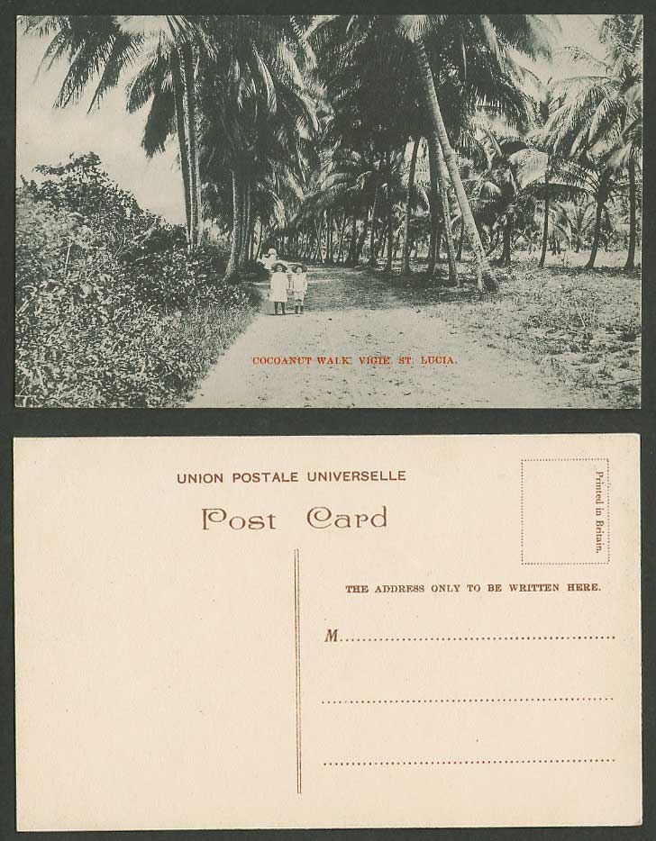 Saint St. Lucia Old Postcard Cocoanut Walk Vigie, Coconut Palm Trees, Girl & Boy