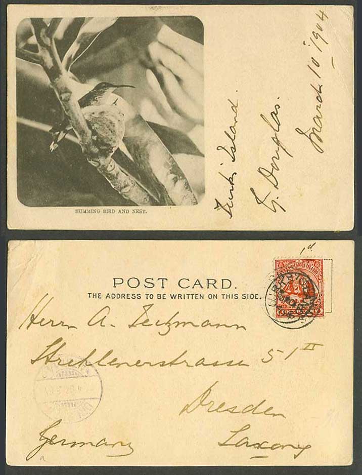 Turks and Caicos Islands 1d 1904 Old UB Postcard Humming Bird & Nest Hummingbird