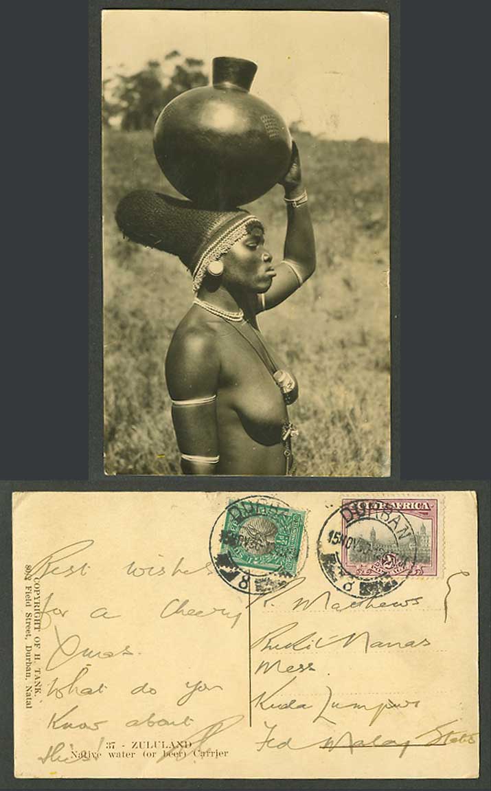 South Africa, Zulu Bride Carry Khamba Beer, Native Black Woman 1930 Old Postcard