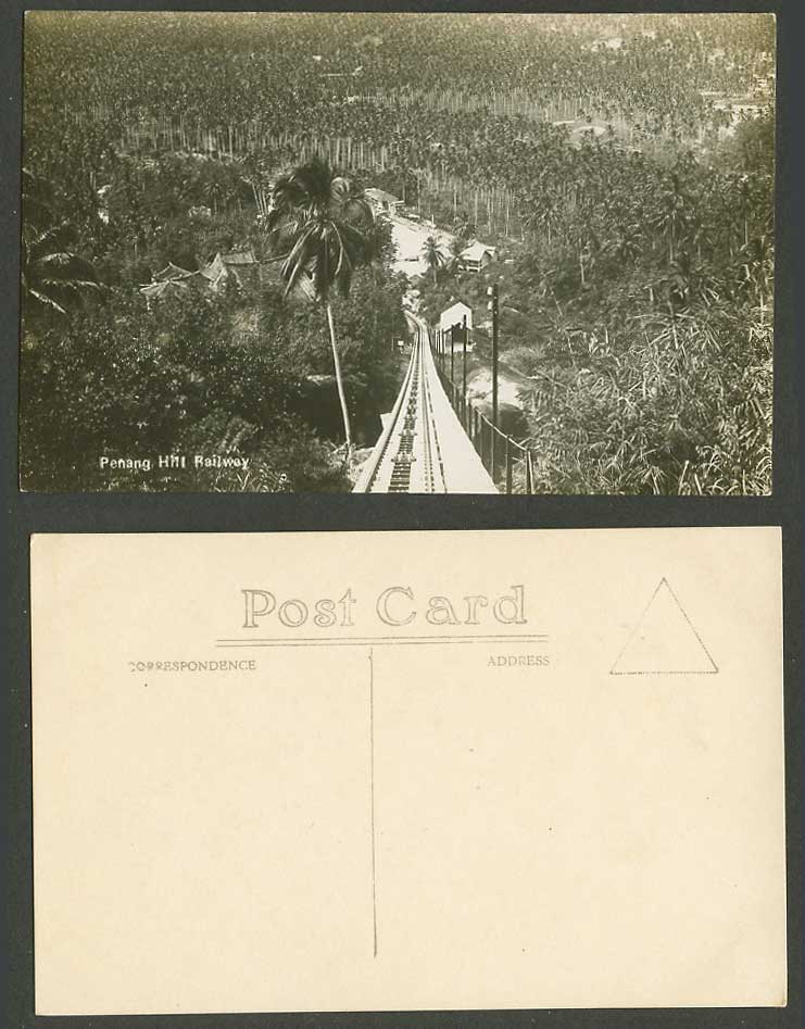 Penang Hill Railway Large Palm Tree Forest in Background Old Real Photo Postcard