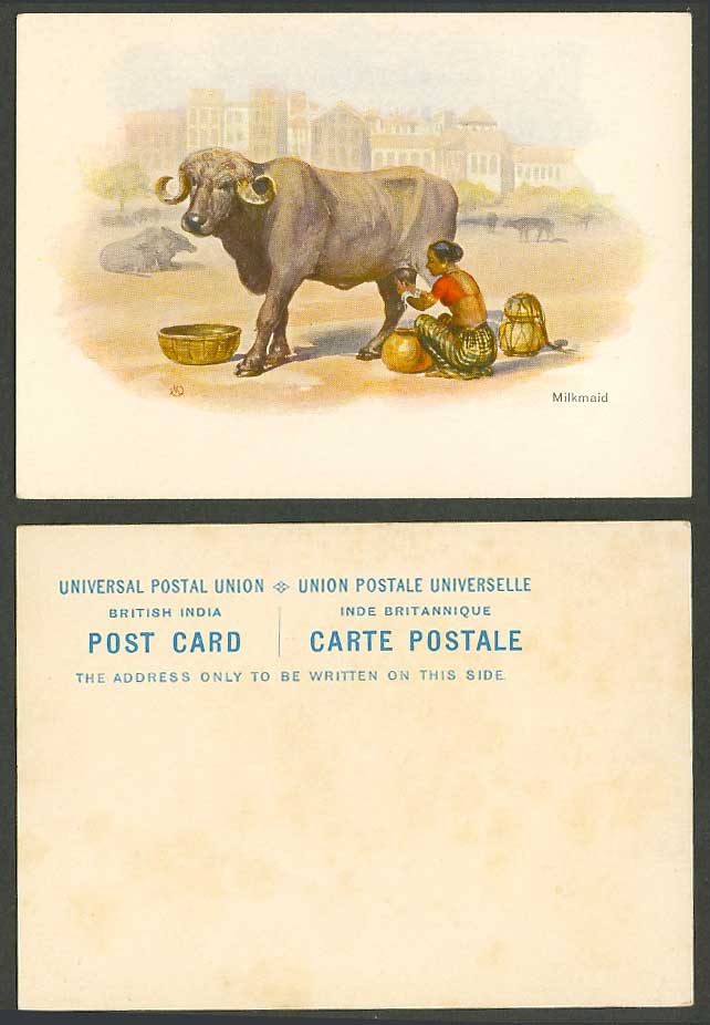 India M.V. Dhurandhar Old Postcard Milkmaid Milking Cow Cattle Native Woman Lady