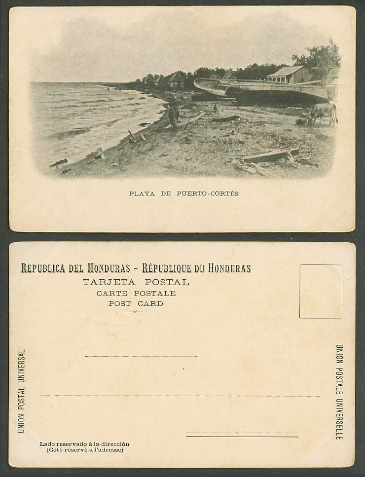 Honduras Playa de Puerto Cortes Beach Boats Cattle Seaside Panorama Old Postcard