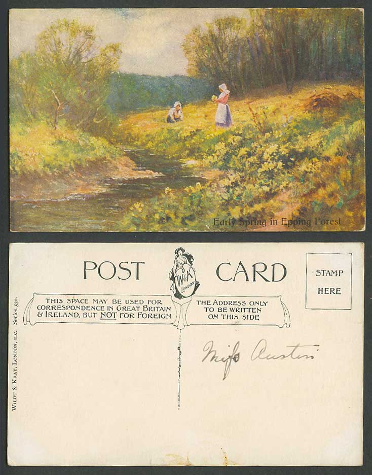 Essex Early Morning in Epping Forest Women Gathering Flowers, River Old Postcard