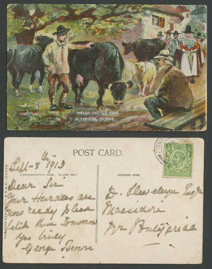 Wales, Welsh Cattle Fair, A Typical Scene 1913 Old Colour Postcard Calf Calves