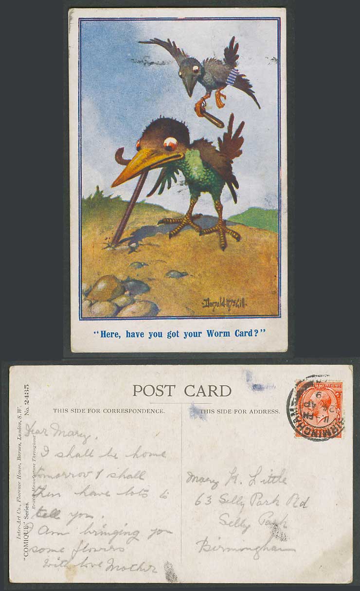 Donald McGill 1929 Old Postcard Bird Birds Here Have you got your Worm Card 2435