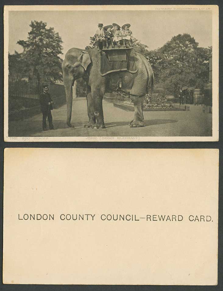 Jingo, Indian Elephant Zoo Animal Children Old London County Council Reward Card