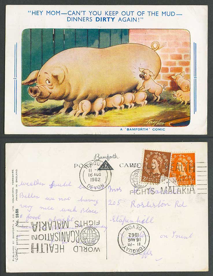 Pig Piglet Taylor MALARIA 1962 Old Postcard Cant Keep Out Mud Dinner Dirty Again