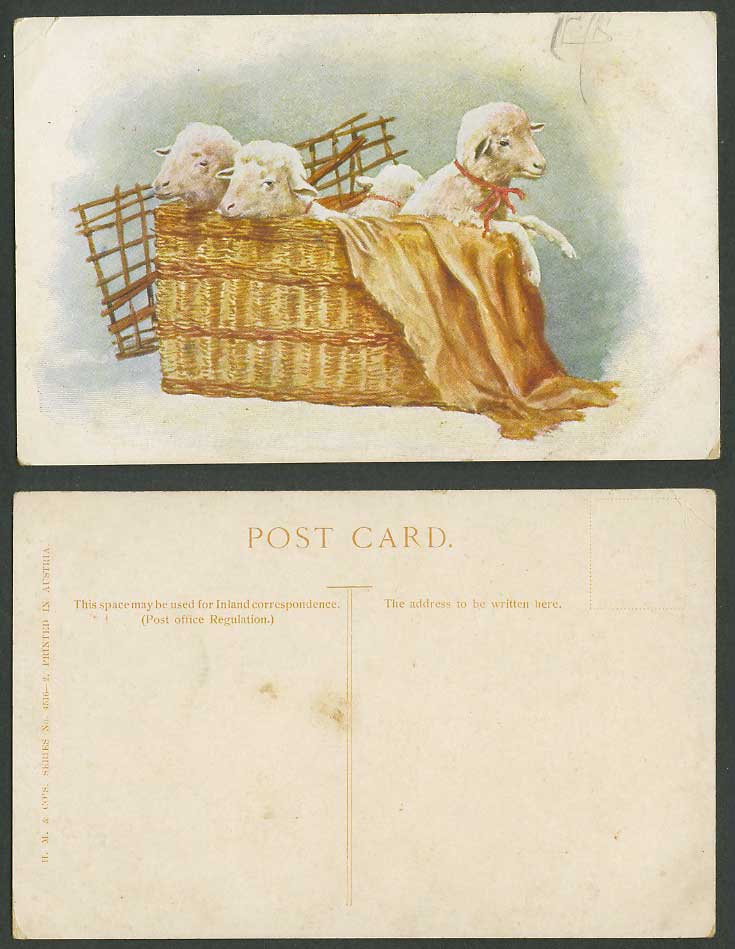 Lamb, Sheep in Basket, Animals, Art Artist Drawn Old Postcard H.M. & Co's 4516-2