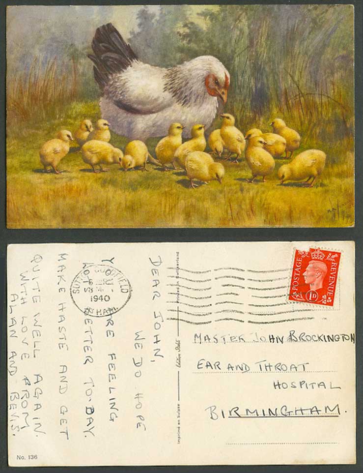 Chicken Hen Chicks Bird Birds, M.A. Artist Signed 1940 Old Postcard to Hospital