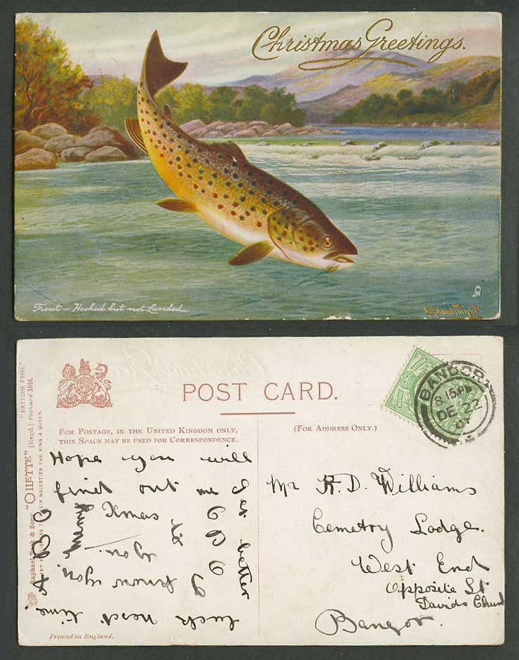 Trout Hooked but Not Landed British Fish A. Roland Knight 1907 Old Tuck Postcard