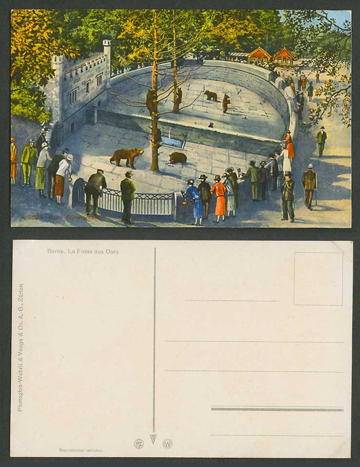 Swiss Old Colour Postcard Berne Bern Baerengraben, Bears & BEAR PIT General View