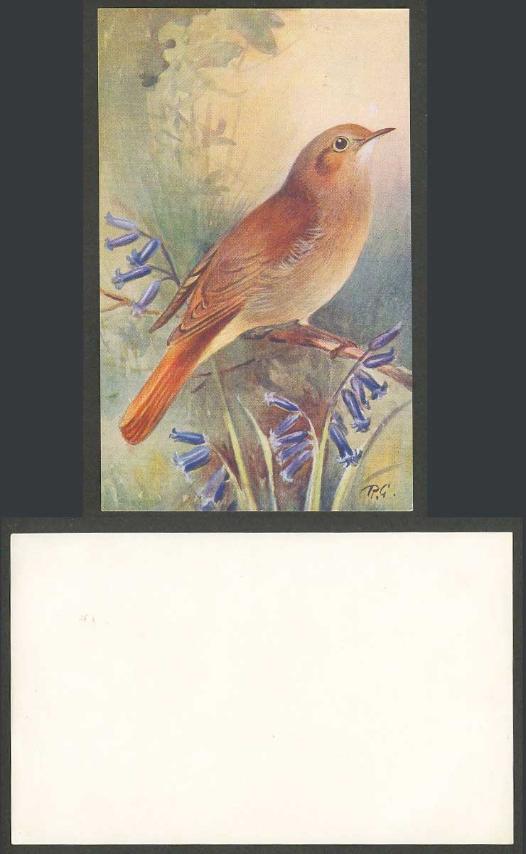 Nightingale Bird by Roland Green R.G. Artist Signed Daulias Luscinia Old Cut-Out