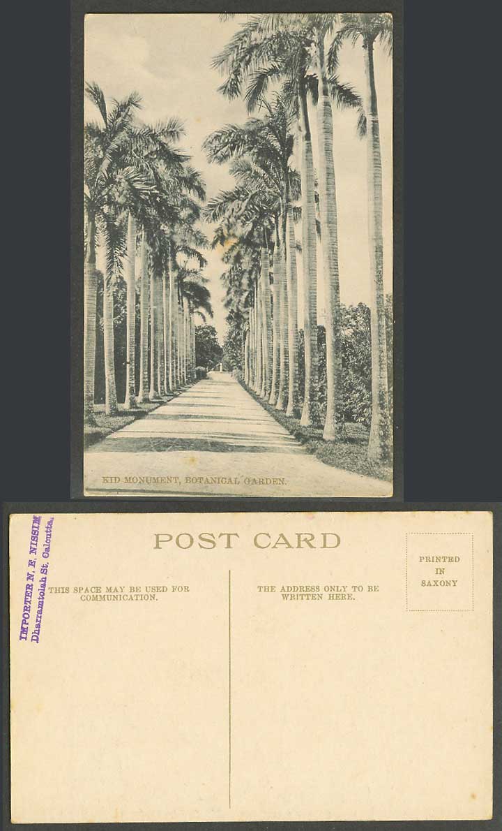 India Old Postcard Kid Monument Botanic Botanical Garden Gdn Calcutta Palm Trees