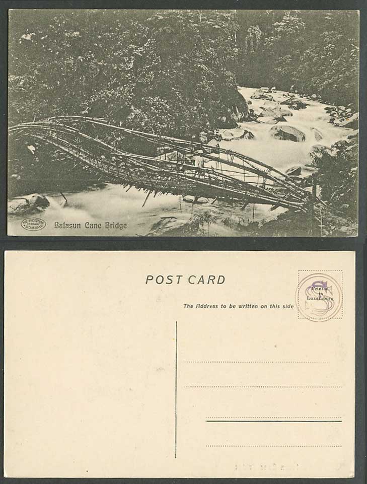 India Old Postcard Balasun Cane Bridge Darjeeling River Scene, Phototype Company
