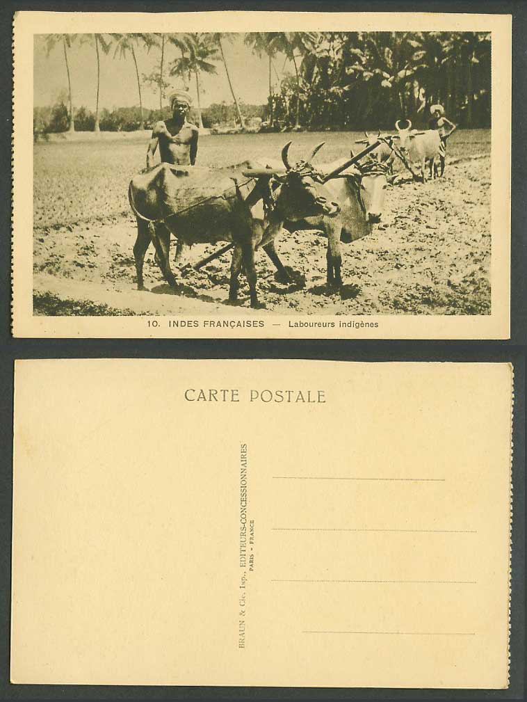 India French Old Postcard Native Farmers Labourers, Cattle Bull Ploughing Fields