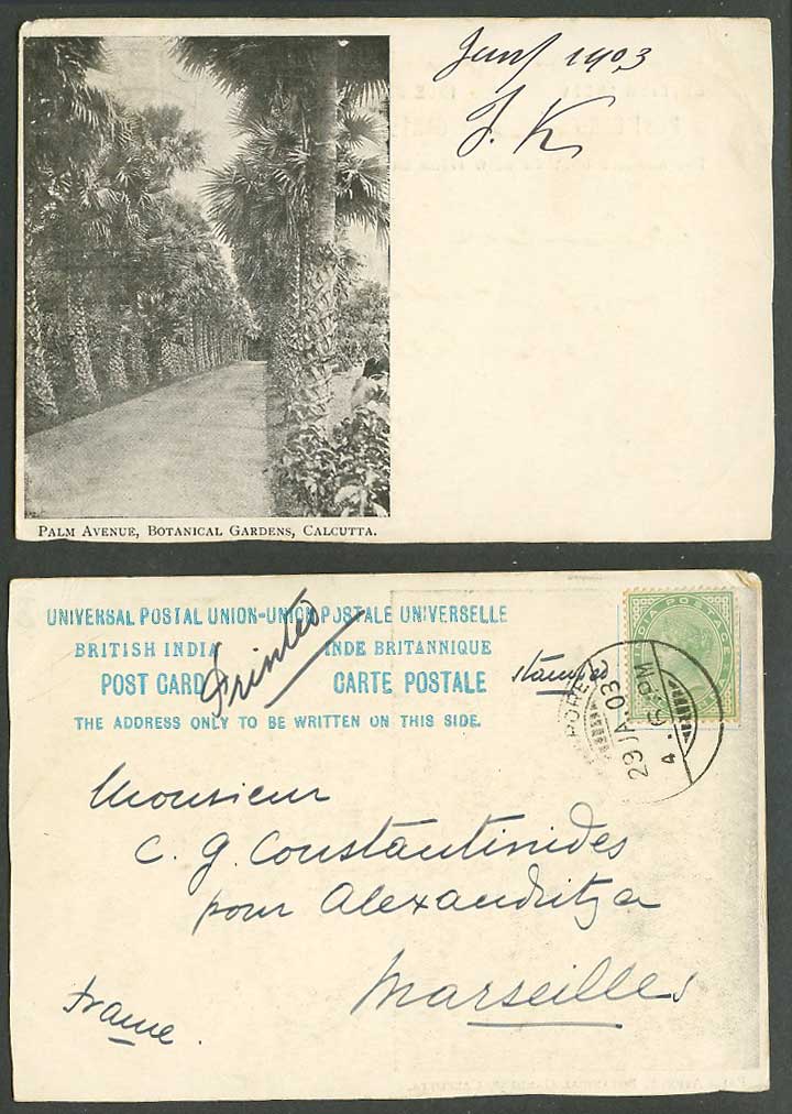 India Q.V. 1/2a 1903 Old U.B. Postcard Palm Avenue in Botanical Gardens Calcutta