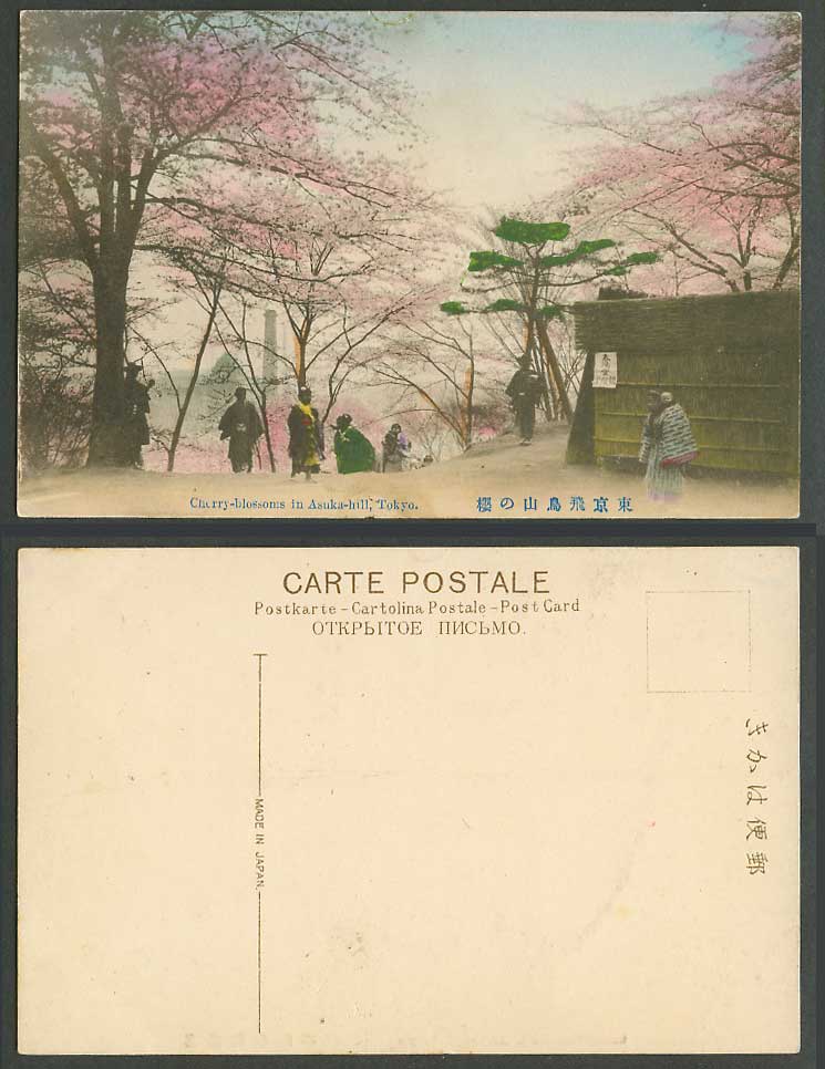 Japan Old Hand Tinted Postcard Cherry Blossoms in Asuka Hill Tokyo 東京飛鳥山之櫻春陽堂觀櫻會