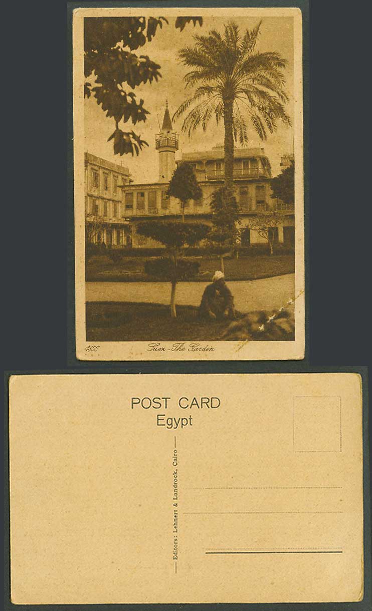 Egypt Old Postcard Suez The Garden, Palm Tree Tower Arab Man, Lehnert & Landrock