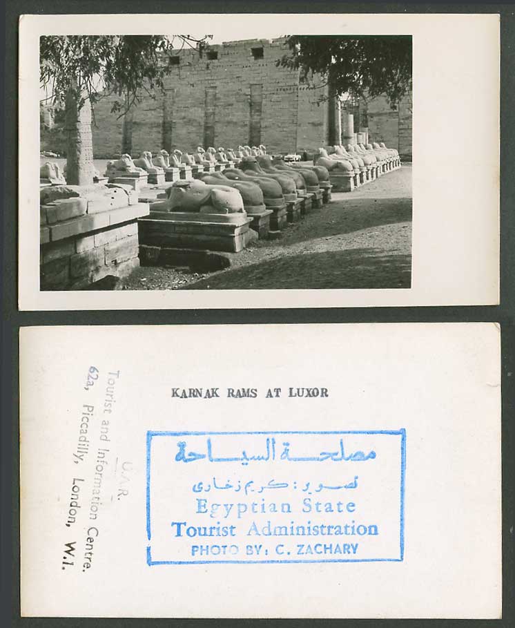 Egypt Old Postcard Karnak Rams at Luxor Sphinxes Sphinx Avenue, Photo C. Zachary
