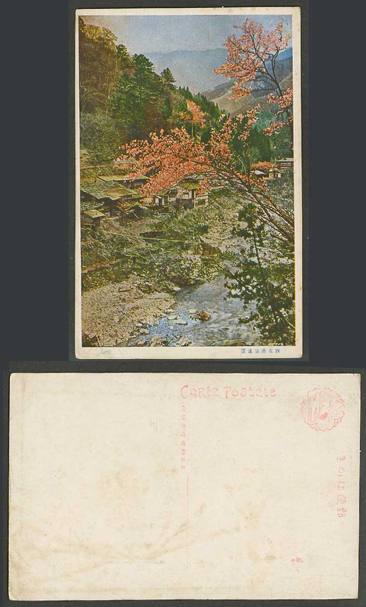 Japan Old Postcard Shima Onsen Hot Spring Resort, Cherry Blossoms, River 四萬溫泉遠望