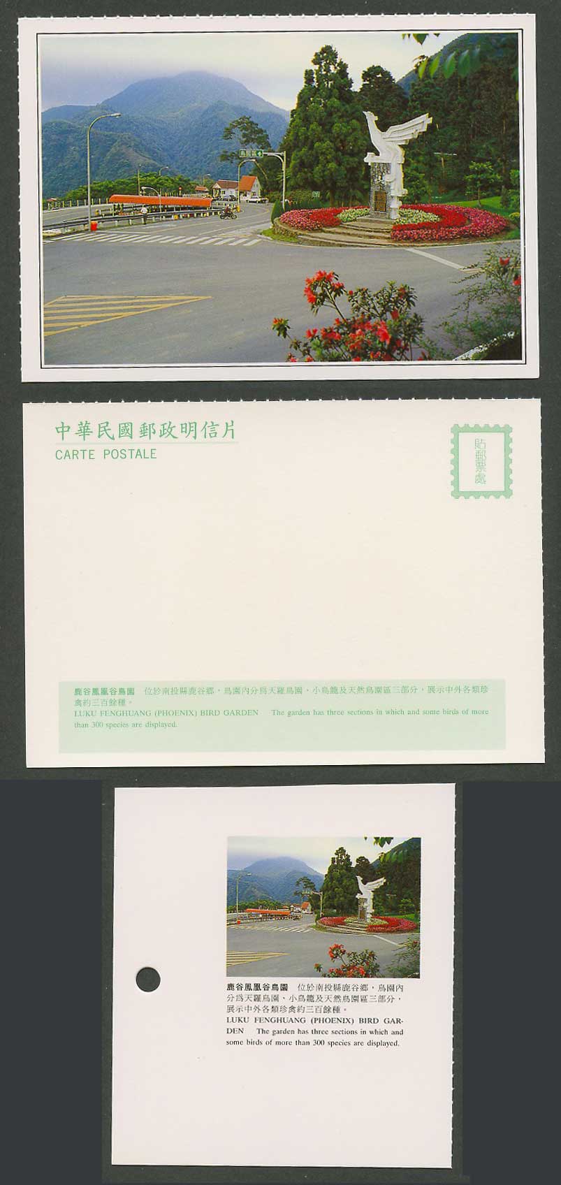 Taiwan Formosa China Postcard Luku Fenghuang Phoenix Bird Garden Streets 鹿谷鳳凰谷鳥園