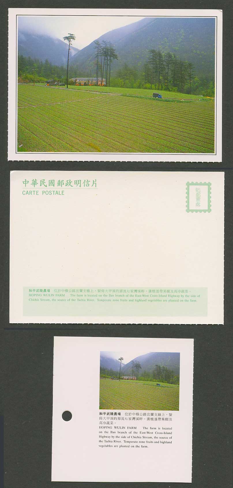 Taiwan Formosa China Postcard Hoping Wulin Farm Mountain Vegetable Fields 和平武陵農場
