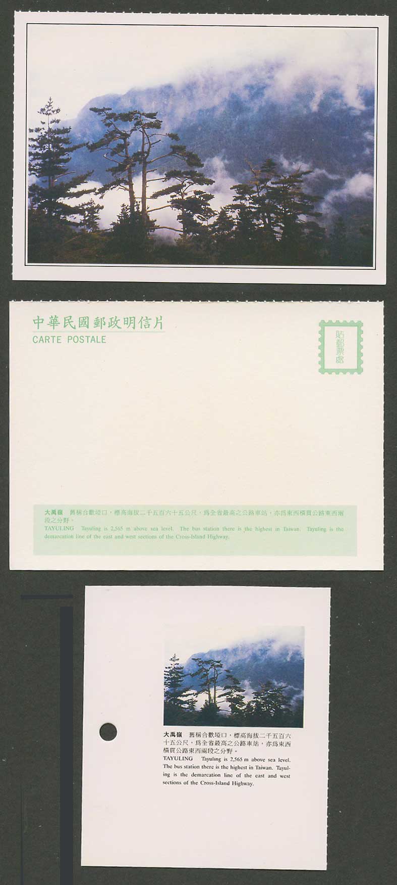 Taiwan Formosa China Postcard Tayuling Mountain 2565m above sea level 大禹嶺 舊稱合歡埡口