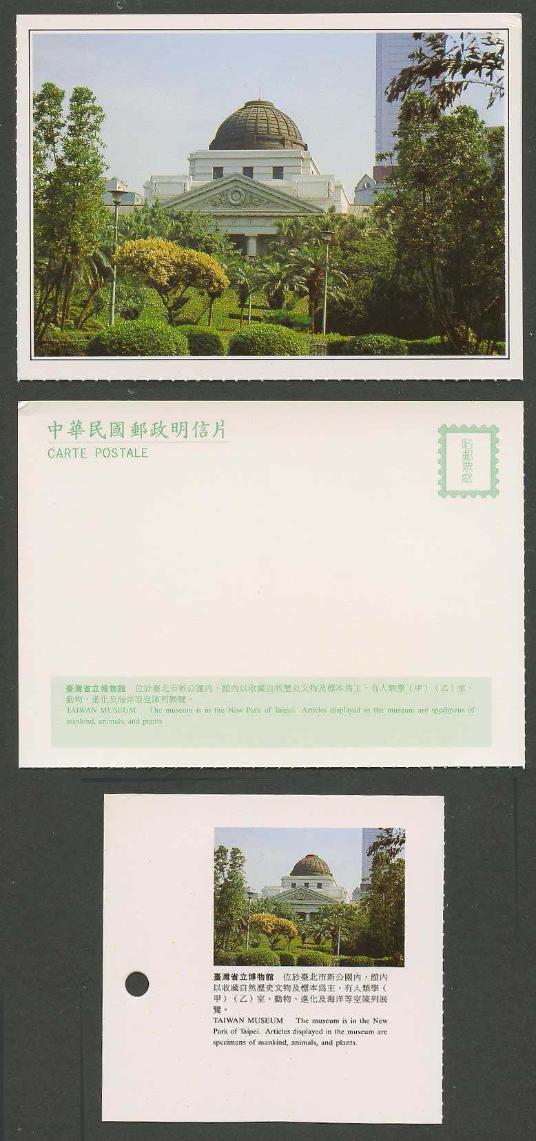 Taiwan Formosa China Postcard Taiwan Museum in New Park of Taipei 臺灣省立博物館 臺北市新公園