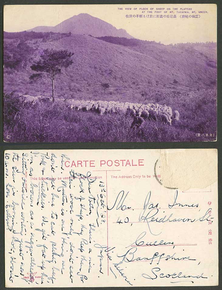 Japan 1928 Old Postcard Flock of SHEEP Plateau Foot of Mt. Takaiwa Unzen 雲仙 高岩岳羊