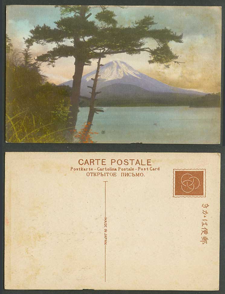 Japan Old Colour Postcard Mount Mt. Fuji Mountain, Pine Trees, Lake Panorama 富士山