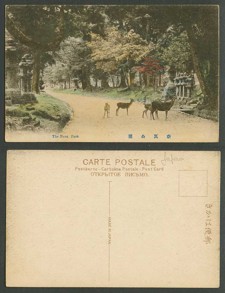 Japan Old Hand Tinted Postcard Deer Park Nara Stone Lanterns Pine Trees 奈良春日公園 鹿