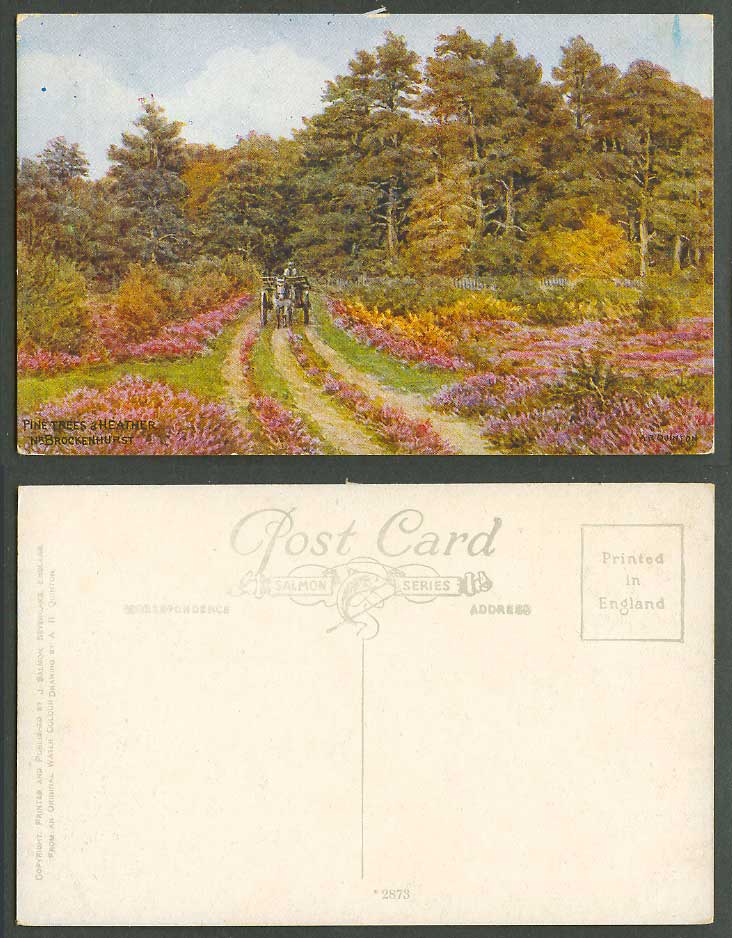 A.R. Quinton Old Postcard Pine Trees & Heather near Brockenhurst New Forest 2873