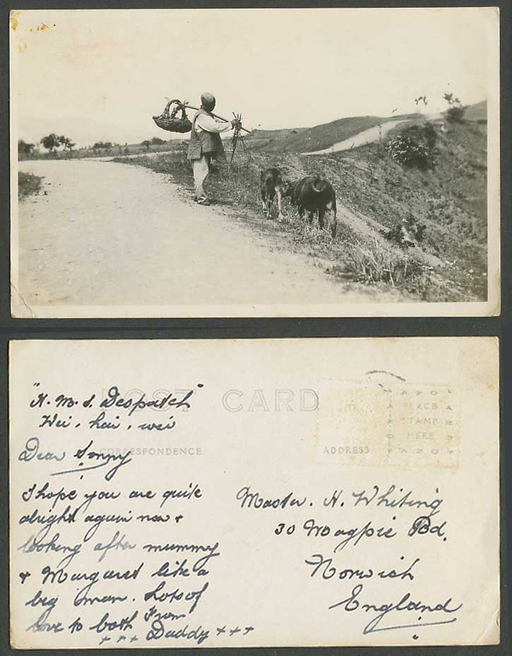 China HMS Despatch Old Real Photo Postcard Wei Hai Wei Weihaiwei Chinaman Cattle