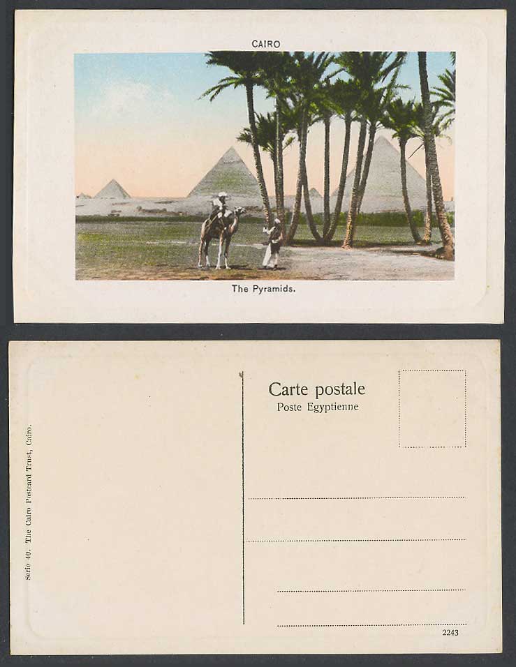 Egypt Old Colour Postcard Cairo, The Pyramids, Camel Rider, Palm Trees, Embossed