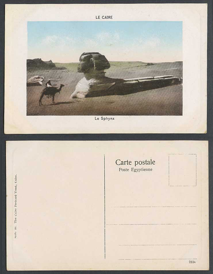 Egypt Old Postcard Cairo Sphinx Le Caire Le Sphynx Camel Rider Sand Dunes Desert
